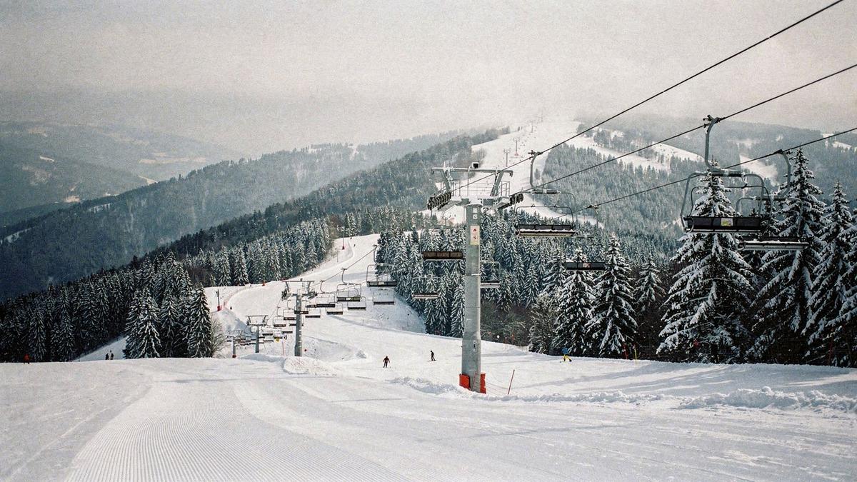 Snow covered pine slopes above the Bukovel ski area in the Ukrainian Carpathians